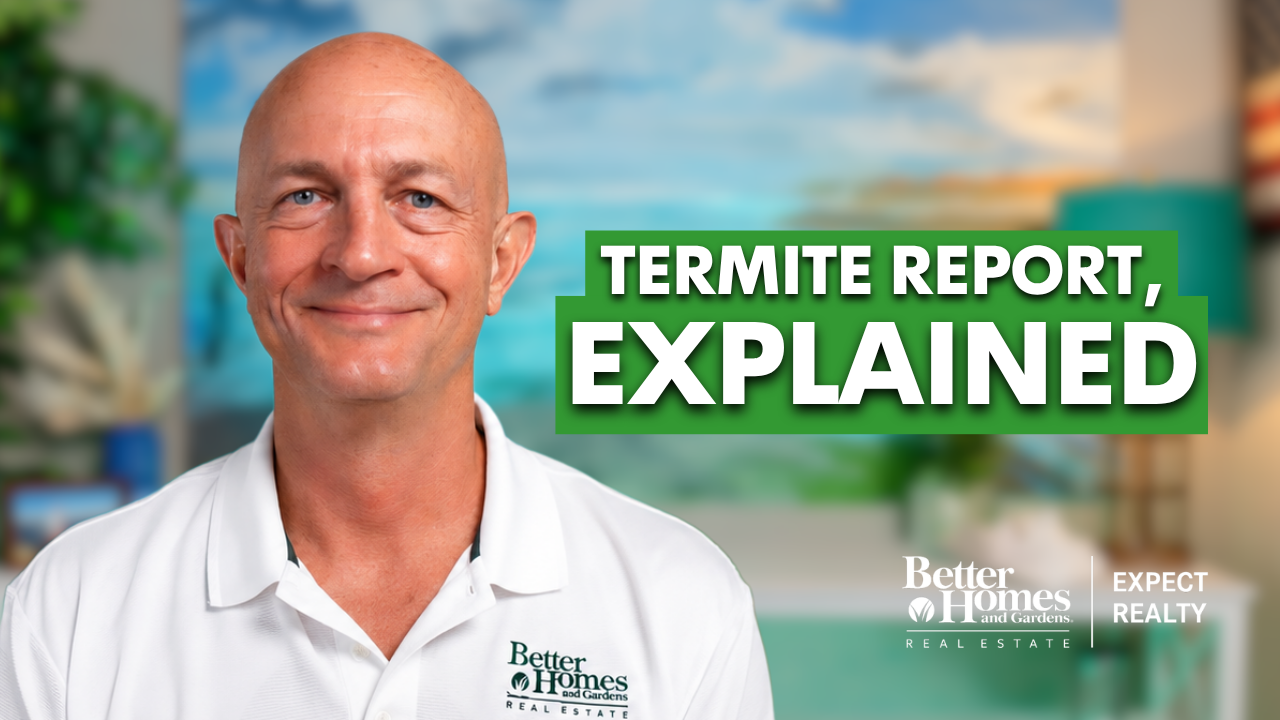 What Every Gulf Coast Buyer Should Know About Termites